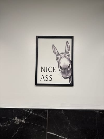 A framed black and white print of a donkey's head peeking from the right side of the frame is centered on a textured white wall, above a black and white marbled baseboard. The print has the words "NICE ASS" written in black text below the donkey's head. The donkey's ears are perked up, and its nose is large and prominent. The background wall has a slight sheen. The marbled baseboard is made of black tiles with white veining. The image is taken at eye level and shows the wall and baseboard. The location is not specified.
