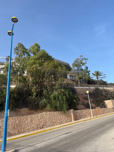 The image shows a street scene in Urbanización Cabo Roig, Spain. A blue lamppost with two yellow lights stands on the left side of the frame. A paved road with yellow lines borders it. In the background, a house is built on a hillside covered with lush green trees and shrubs. A stone wall runs along the bottom of the hill. A palm tree is visible behind the house, and another lamppost with a yellow light stands further down the road. The sky is clear and blue.