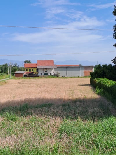 The image shows a rural scene in Settimo Torinese, Italy. In the foreground, there is a field of dry grass or crops. Behind this field, there are several buildings. One building is yellow with a red tiled roof. Next to it is a larger building with a grey facade and a red tiled roof section. To the right, there is a dense green hedge and trees. In the background, there are faint mountains visible under a blue sky with scattered clouds. Power lines are visible in the upper portion of the image.