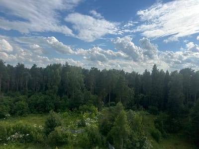 The image depicts a lush, green forest under a bright blue sky filled with fluffy white clouds. The dense canopy of coniferous and deciduous trees stretches across the horizon, with tall pine trees dominating the background. In the foreground, a field of green grass is dotted with clusters of white wildflowers and smaller bushes. A light-colored wooden fence is partially visible at the bottom right of the frame, suggesting the edge of a property. The scene is tranquil and appears to be an outdoor natural environment. No people or specific actions are visible. The location is identified as Snt Del'fin, Russia.