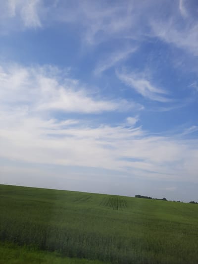 The image depicts a vast, rolling green field under a dynamic blue sky with scattered white clouds. The field is densely planted with crops, exhibiting subtle rows and textures, suggesting cultivation. In the distance, a line of dark trees forms the horizon. The overall impression is one of rural tranquility, characteristic of the Krapivinskiy region of Russia, known for its agricultural landscapes. There are no people or man-made structures visible in the foreground or midground. The lighting suggests it is daytime, likely late morning or early afternoon, with diffused sunlight.
