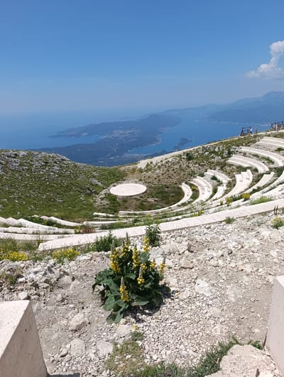 A high-angle, wide shot captures a panoramic view of a coastal landscape and an amphitheater structure in Kuk, Montenegro, under a clear blue sky. The foreground is dominated by the rough, rocky terrain and a blooming yellow-flowered plant.
The middle ground features a semi-circular, tiered amphitheater constructed from white concrete, blending into the natural landscape. These tiers are set into a grassy, hilly slope. Several circular concrete platforms are visible on the amphitheater's stage.
Beyond the amphitheater, a vast expanse of blue water stretches to the horizon, dotted with distant mountains. A coastal town or city with buildings and infrastructure is visible along the shoreline. A few individuals are present on the edge of the amphitheater, seemingly observing the scenery. The overall scene conveys a sense of natural beauty and architectural integration.