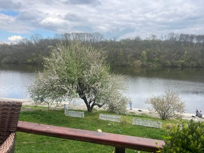 The image shows a landscape by a body of water. On the near bank, there's a large flowering tree, other smaller trees, and sections of low white fencing. A person is standing near the water's edge, and further to the right, two people are seated and appear to be fishing. The water surface reflects the sky. The opposite bank is densely wooded. The foreground includes a section of a brown wooden railing, implying the viewpoint is from an elevated position, possibly a balcony or deck. The sky is overcast. Given the prompt information, the location is in the Smederevska Palanka Municipality, Serbia.