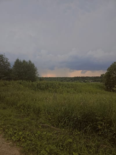 This is a wide shot of a rural landscape with a focus on vegetation and the sky. In the foreground, there is a dense growth of green grass and various plants, with a dirt path visible on the left side of the image. Several trees are present on the left and right edges of the frame, with a prominent line of trees forming the mid-ground horizon. The sky is overcast with heavy, dark clouds, and there is a subtle glow of orange or pink light visible on the horizon, possibly indicating sunset or sunrise behind the clouds. The overall atmosphere is moody and somewhat somber due to the dark sky. The location is identified as Malaya Usa, Russia.