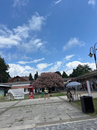 The image depicts a sunny day in Pitsunda, Abkhazia, with a clear blue sky dotted with fluffy white clouds. In the foreground, a paved walkway leads towards a street with shops and a large, vibrant pink flowering tree. Two women are walking on the walkway. A person sits at a table under a striped umbrella in the middle ground. A red phone booth and a display of information are visible to the left. Buildings line the street, some with awnings, and merchandise is displayed outside the shops. A lamppost stands on the right side of the frame. The overall scene suggests a public area with commercial activity and recreational space.