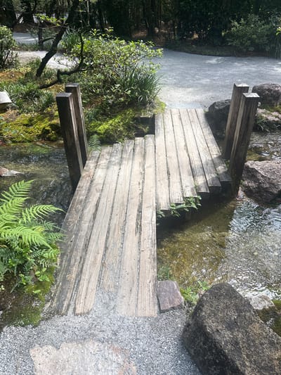 The image depicts a rustic wooden bridge crossing a shallow, clear stream in what appears to be a meticulously maintained garden. The bridge is constructed from weathered wooden planks, showing signs of age and exposure to the elements, with some green foliage sprouting from the gaps between the planks. Two sturdy wooden posts support the bridge on either side. The surrounding environment is lush and verdant, with various types of green plants, ferns, and moss covering the banks of the stream and parts of the bridge's supports. Large, dark-colored rocks are strategically placed along the stream's edge. In the background, a gravel path winds through more dense foliage, suggesting a park or botanical garden setting. The scene is well-lit, indicating it was taken during the daytime. There are no people visible in the image. The location is described as Delray Beach, United States.