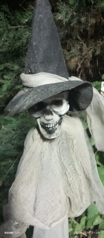 A Halloween decoration, resembling a skeleton wearing a witch's hat and draped in tattered fabric, is positioned outdoors against a backdrop of green foliage. The skull of the decoration is visible, with painted features and a gaping mouth. A black, pointed hat sits askew on the skull, adorned with a piece of distressed white fabric. The skeleton is loosely covered with a sheer, off-white material that appears to be gauze or cheesecloth, giving it a ghostly appearance. The background consists of blurred green branches and leaves, suggesting a natural outdoor setting. The image is a close-up shot, focusing on the details of the decoration. The location is identified as Kant, Kyrgyzstan, with a timestamp of "27.06.2026 21:09" and "REDMI 12C" also present on the bottom of the image.