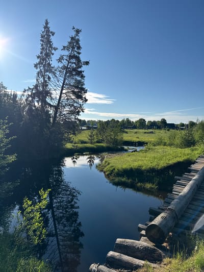 The image captures a serene rural landscape in Ust'-Silayka, Russia, on a bright, sunny day. The sky is a clear blue with sparse cirrus clouds, featuring a prominent sunflare emanating from the upper left quadrant. In the foreground and mid-ground, a calm, dark body of water, likely a river or stream, reflects the sky, sun, and surrounding vegetation. Two tall, dark evergreen trees, possibly spruces, stand prominently on the left bank, their silhouettes and reflections dominating that side of the water. The banks are covered in vibrant green grass and lush foliage, illuminated by direct sunlight. A rustic wooden bridge, composed of weathered logs and planks, extends across the water from the lower right foreground. Beyond the water and the immediate banks, an expansive area of bright green fields stretches towards the horizon. A smaller stream meanders through these fields, with scattered bushes and smaller trees. In the distant background, a cluster of traditional wooden houses, characteristic of a village, is visible among trees. No human figures or animals are present.