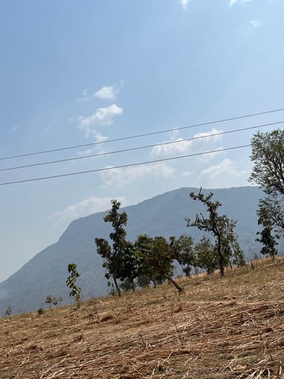 The scene depicts an arid outdoor environment in Bokana, Nigeria, under a bright blue sky with scattered white cumulus clouds. Three parallel dark-colored power lines stretch horizontally across the upper portion of the image. In the background, a large, hazy, green, tree-covered mountain range is visible. The midground consists of an upward-sloping, dry, brownish-orange field, sparsely populated with several trees of varying heights, some displaying green foliage while others appear more desiccated. The immediate foreground is composed of reddish-brown soil heavily covered with light brown, dry crop residue or plant stalks, lying horizontally and diagonally across the terrain. No individuals, animals, or specific actions are discernible.