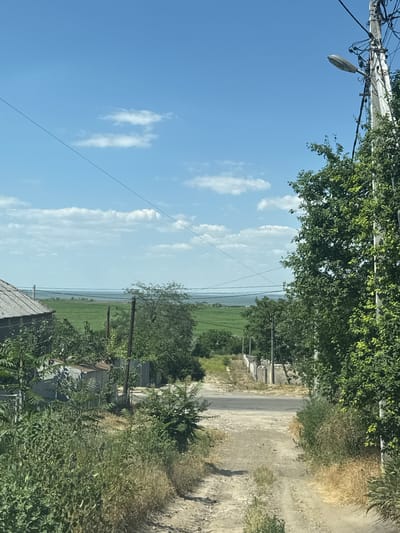 The image depicts a rural landscape in Bilhorod-Dnistrovskyi, Ukraine. The scene is dominated by a bright blue sky with scattered white clouds. In the foreground, a power line with a street lamp stretches across the frame, partially obscured by lush green trees. A dirt road runs along the right side of the image, bordered by dry, grassy vegetation and some trees. Further back, a vast green field, likely agricultural, stretches towards a distant body of water or horizon. A few small buildings with corrugated roofs are visible amidst the greenery. The overall impression is one of a serene, sunlit day in the countryside. The orientation of the image is portrait, with the top of the frame appearing to the left. No people are visible, and there is no visible text.
