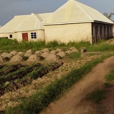The image depicts an exterior view of a pair of semi-finished buildings in Mangu Town, Nigeria. The buildings are constructed with light-colored stucco walls and feature light-colored, corrugated metal roofs with a pointed, multi-faceted design. The left building has a red door and two windows, one square and one rectangular. The right building has a series of narrow, vertical windows along its side. Lush green vegetation, including tall grasses and some tilled soil with small plants, surrounds the buildings. In the foreground, a dirt path curves through the scene, bordered by grass. Several large, rounded mounds of what appear to be soil or compost are scattered across the landscape. The sky is a pale blue with some wispy clouds. The overall impression is that of a rural or semi-rural setting, possibly a farm or residential development in its early stages.