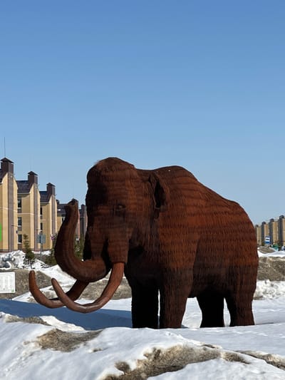 This image displays a large, dark reddish-brown mammoth sculpture situated outdoors in Новое Шигалеево, Russia. The sculpture, detailed with a textured surface resembling fur composed of numerous individual strands, is depicted in profile, facing left with its trunk raised and prominent lighter brown tusks curving downwards. It stands on ground partially covered by melting snow and exposed patches of brown earth. In the background on the left, a series of multi-story residential buildings with light-colored facades and dark sloped roofs are visible. On the right, in the further distance, taller apartment blocks are present. The sky above is clear and bright blue. No human figures or discernible actions are present.