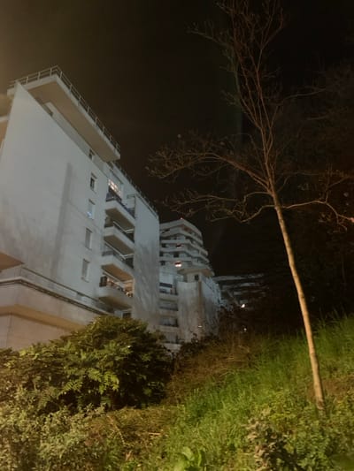 The image captures a nighttime urban residential scene in Issy-les-Moulineaux, France. Three multi-story apartment buildings dominate the left and center-background. The nearest structure, a white apartment block, features several balconies with white railings; one balcony displays illuminated decorative string lights. Behind it, a taller building with a stepped architectural design is visible, topped by a red beacon light. A third, more distant building is partially obscured. The foreground and right side are characterized by natural vegetation: dense green bushes and shrubs are positioned at the base of the buildings and across the lower-left, while a bare deciduous tree with fine branches stands on the right, extending into the dark sky. Patches of green grass are visible in the immediate foreground on the right. Artificial lighting illuminates the building facades and parts of the vegetation against a dark, cloudless night sky. No human presence or activity is observed within the frame.