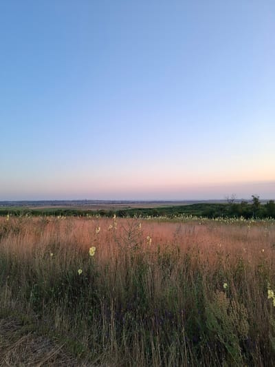 This is a vertical, full-frame, eye-level shot of a field at sunset in Tsibanobalka, Russia. The image is divided into two distinct halves. The left half is dominated by a clear blue sky that transitions to a soft pink and then to a pale lavender as it approaches the horizon. The right half is a field of dry, golden-brown grass, interspersed with small yellow flowers and patches of darker green foliage. The horizon line is visible in the distance, showing a blurred line of trees and possibly some buildings, suggesting a rural or semi-rural landscape.

The time of day is clearly sunset, indicated by the gradient of colors in the sky. The overall mood of the image is serene and tranquil, enhanced by the soft, warm lighting of the setting sun. The textures of the dry grass are prominent, creating a sense of natural, untamed beauty. There is no text visible in the image, and no people or specific objects are discernible other than the natural elements of the landscape.