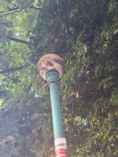The image shows a street lamp in Galabovo, Bulgaria. The lamp has a round, weathered globe and a turquoise post. A white sticker with red lettering is attached to the post. The lamp is surrounded by dense green foliage, including leaves and branches. The perspective is looking upwards towards the lamp, which is partially obscured by the greenery.