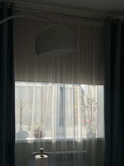 A light-colored, dome-shaped lamp is positioned to the left of a window with sheer blinds. Sunlight streams through the blinds, creating horizontal patterns of light and shadow. The window overlooks an outdoor scene with plants visible, some in pots and others on a balcony or ledge. The room appears to be dimly lit, with the lamp being the primary light source in its immediate vicinity. The sheer blinds are partially drawn, allowing some light to enter while obscuring a clear view of the outside. The overall mood is serene, possibly indicating a quiet morning or afternoon. There is no visible text in the image.