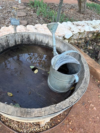 This media file captures a rustic outdoor watering station, likely in a garden or rural setting in Drakenstein Nu, South Africa. The primary subjects are a large, weathered wooden barrel, possibly a repurposed wine barrel, and a galvanized metal watering can.

The watering can rests inside the wooden barrel, partially submerged in the dark water collected within. The water surface reflects the sky and what appears to be tree branches, suggesting an open-air environment. Several fallen leaves float on the water, enhancing the natural, organic feel of the scene. The barrel itself shows significant signs of age and weathering, with deep cracks and a worn texture visible on its wooden staves and metal bands.

To the left of the barrel, a small brass-colored faucet is mounted on a pipe. A dark, rectangular sign hangs from the pipe, with the white text "DRINKABLE WATER" clearly visible, indicating the tap provides potable water. The ground surrounding the barrel and faucet is a mix of reddish-brown dirt and gravel, with some green, grass-like vegetation and scattered debris. A low, light-colored stone wall or border is visible behind the faucet and extends towards the background.

The image depicts a static scene under bright daylight conditions. No people are present, and there is no active event taking place, but the setup suggests practical use for watering plants or as a drinking water source. The overall impression is one of functionality and a connection to nature, emphasizing sustainable water use in a rustic landscape.