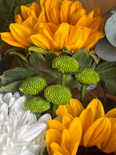 The image is a close-up shot of a floral arrangement. Dominating the upper portion are the large, yellow petals of sunflowers. Below them, a cluster of small, round, green flowers, possibly chrysanthemums or similar, are visible on slender stems. To the left and bottom of the frame, bright white daisy-like flowers with delicate petals are present. In the upper right corner, a few muted, grey-green eucalyptus leaves can be seen. The background appears to be a neutral brown, suggesting a dark surface or wrap behind the flowers. There are no people, actions, or specific environmental features beyond the floral arrangement itself. The location of Novopokrovka, Kyrgyzstan, is not evident in the visual information provided.