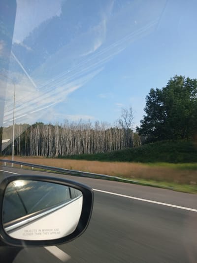 The image captures a roadside view from a vehicle traveling on a highway. In the foreground, a car's side mirror is visible, reflecting the sky and trees. Text on the mirror reads "OBJECTS IN MIRROR ARE CLOSER THAN THEY APPEAR." The highway itself, with white lane markings, stretches into the distance. A metal guardrail separates the road from a grassy embankment. Beyond the embankment, a dense line of white-trunked trees forms a stark contrast against a backdrop of darker green foliage and a few bare, spindly trees. The sky above is a clear blue with wispy white clouds, and the sun's reflection is visible in the side mirror, suggesting it is daytime. The overall scene depicts a natural landscape alongside a transportation route.
