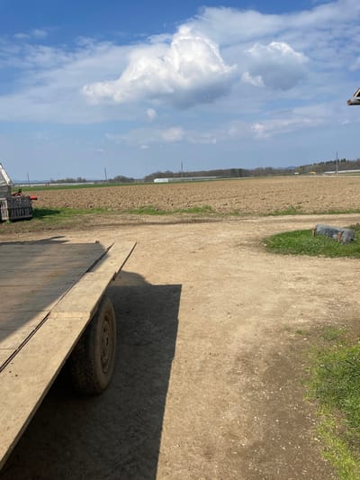 The image presents an outdoor agricultural scene under a bright blue sky with prominent white cumulus clouds. In the immediate foreground, a weathered wooden flatbed trailer with a single visible dirty wheel is positioned in the lower-left, extending towards the center. It casts a distinct, elongated shadow onto the light brown, gravelly dirt path that dominates the foreground and midground. To the right of the path, a small patch of green grass is visible, containing a dark, cylindrical object that rests partially embedded. Beyond the trailer to the left, a white tarp-covered structure, a section of red agricultural machinery, and stacked wooden crates are present. The central and right midground consists of extensive tilled brown earth fields, with some greener cultivated areas further in the distance. Several utility poles are sparsely distributed across the distant fields. The background features a low horizon line with trees and a range of low-lying hills or mountains. To the far right, multiple elongated white structures, indicative of greenhouses or polytunnels, are discernible. No individuals or overt actions are present. The scene is situated within an agricultural zone on the periphery of Krško, Slovenia, consistent with farming properties in the Lower Sava Valley region.