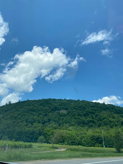 The image depicts a vast, green, forested hillside under a bright blue sky dotted with fluffy white clouds. The hillside occupies the majority of the frame, with its dense foliage creating a lush, textured surface. At the bottom of the image, a grassy field stretches towards the hillside, with a paved road visible in the foreground. The scene appears to be a natural landscape, possibly a park or a rural area. The presence of a road suggests it may be a scenic route or a view accessible from a roadway. There are no visible people or structures on the hillside. The overall impression is one of natural beauty and tranquility. The location of Ripon, Canada, is not directly evident from the visual elements of the image itself; this information would need to be provided contextually.