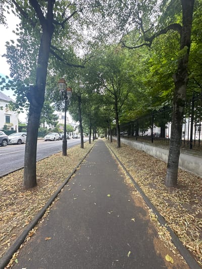 The image depicts a paved pedestrian walkway lined with trees and fallen leaves, bordering a street with parked cars. The walkway runs parallel to a road where several cars are visible, including a grey SUV, a white sedan, and other vehicles. On the opposite side of the street, buildings with a traditional European architectural style are present. A black ornate metal fence with vertical bars separates the walkway from a grassy area with more trees and vegetation. A lamppost with two vintage-style lamps stands near the beginning of the walkway. The scene appears to be in a residential or park area within the city of Enghien-les-Bains, France, characterized by its tree-lined avenues and urban greenery. The lighting suggests it is daytime, possibly overcast. No people are visible in the image.