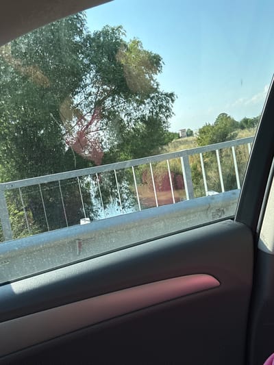 The image captures a view from the interior of an Audi vehicle, likely in Rakovski, Bulgaria, looking out the passenger-side window on a clear, sunny day. The upper left segment of the frame shows the vehicle's light-colored headliner. The lower portion of the image reveals a dark gray, textured car door panel featuring a horizontal trim element that appears reddish-pink due to light reflection. A sticker displaying "Audi" and "E" marks is affixed to the window glass above the door panel.
Beyond the window, a galvanized metal guardrail, characteristic of a bridge or roadside barrier, spans horizontally across the middle of the scene. It comprises a thick top rail and multiple vertical posts. Beneath the guardrail, a body of water, likely a river or canal, reflects the bright sky and surrounding vegetation. The window glass is marked with numerous small, light-colored particles, possibly dust or pollen, and several indistinct light reflections.
The background features dense green trees and foliage dominating the left and central areas. To the right, drier, yellowish-brown grasses and bushes are present. Further in the distance, on a slight rise, a small, light-colored, rectangular building with a dark roof, resembling a utility shed or blind, is visible. The sky above is a clear blue with a few faint white clouds towards the horizon. A faint, dark, elongated object is indistinctly present high in the sky in the upper right quadrant. No individuals are depicted in the scene.