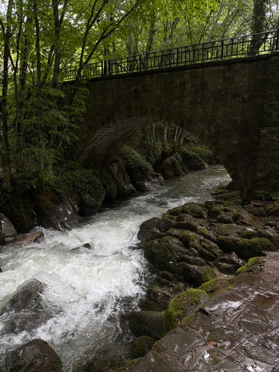 The image depicts a waterfall cascading under an old stone bridge located in Ribaritsa, Bulgaria. The waterfall rushes over dark, moss-covered rocks, creating a frothy white texture against the dark background. The bridge is constructed of aged stone and features a metal railing and ladder system attached to its side. Lush green trees surround the bridge and waterfall, partially obscuring the view of the bridge structure. The scene is likely set in a natural, wooded area within Ribaritsa, Bulgaria.