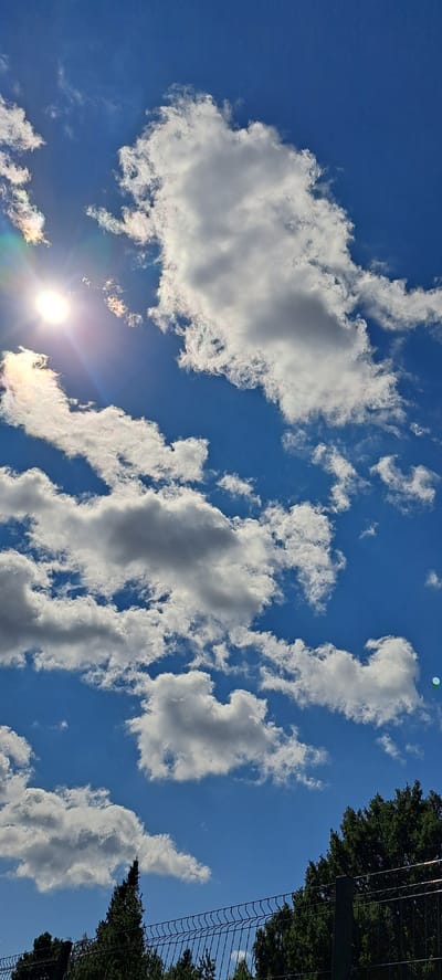 This is a photograph taken from ground level, looking upwards towards a bright blue sky filled with scattered white and gray cumulus clouds. The sun is visible in the upper left quadrant, casting a bright glare and lens flare effects, with some iridescent rainbow hues present. The lower portion of the image shows the tops of evergreen trees and a dark metal wire fence with a concrete post. The overall impression is of a clear, sunny day. The location is the city of Zhukovo, Russia. There are no people or animals visible in the image.