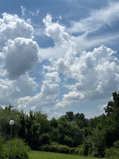The image depicts a landscape scene featuring a lush green grassy field in the foreground, bordered by dense green trees and vegetation. In the upper portion of the image, a vast blue sky is filled with numerous white, fluffy cumulus clouds and some wispy cirrus clouds. A modern, spherical white light fixture stands on a thin pole to the left of the frame, partially obscured by tall green grass and foliage. The overall impression is one of a natural, outdoor setting on a bright, possibly sunny day. The provided context mentions the city of Grivitsa, Bulgaria, suggesting this location is relevant to the scene, though no specific landmarks or identifying features within Grivitsa are visible in the image itself. There are no people or animals present.