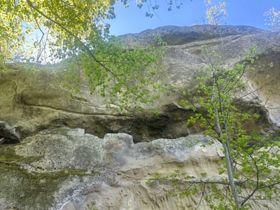 The image shows a rocky cliff face with some trees growing near it, possibly located in the city of Blaskovo, Bulgaria. The cliff face is layered and appears to be composed of sandstone or a similar sedimentary rock. There is a horizontal overhang or a shallow cave-like feature visible in the middle of the cliff. Green moss or lichen is growing on the lower part of the rock face. Trees with fresh green leaves are present in the foreground and slightly obscuring the view of the rock face. The sky is visible in the upper portion of the image.