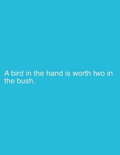The image is a cyan background with white text. The text reads "A bird in the hand is worth two in the bush." There are no people, subjects, objects, actions, or interactions visible in the image, and no indication of a specific location in Emel'yanovo, Russia.
