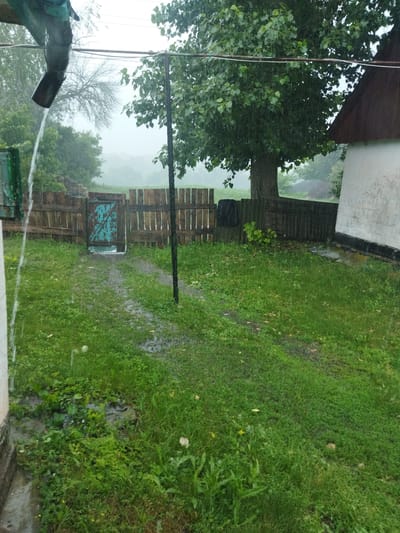The image depicts a rural scene in Sosnivka, Ukraine, during a rain shower. Water is cascading from a downspout on the left side of the frame, onto a patch of grass and a muddy path leading towards a wooden fence with a teal-colored gate. Beyond the fence, a large tree with lush green leaves dominates the mid-ground, its branches extending over a portion of the scene. To the right, the corner of a white building with a brown roof is visible. The ground is covered in green grass, with several areas of standing water and mud, indicating the intensity of the rain. The background is obscured by fog and rain, giving a sense of depth and atmosphere to the overcast day. The overall impression is one of a damp, rural environment experiencing inclement weather.