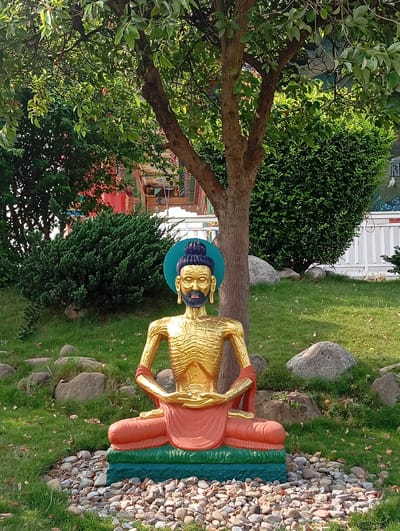 The image shows a golden, seated Buddha statue with a blue halo around its head, positioned in Lumbini Sanskritik, Nepal. The statue, with a black beard, sits in a meditative pose on a multi-tiered base of green, orange, and teal. The statue is surrounded by small, smooth rocks and green grass. A tree with dense green foliage provides shade above the statue. Behind the statue, there are more green bushes and a partial view of a building with colorful decorations. Large grey rocks are scattered throughout the grassy area. In the background, a white fence is visible. The lighting suggests it is daytime.