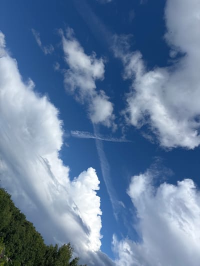 The image captures a dynamic sky with a mixture of clouds and a clear blue sky, likely taken during the daytime. The scene is dominated by a prominent cross-shaped contrail, formed by aircraft, intersecting the sky. Fluffy white cumulus clouds are scattered across the frame, with some larger, denser formations suggesting potentially changing weather. In the lower right portion of the image, a dense green forest canopy is visible, sloping upwards and hinting at a hilly terrain. The overall impression is one of a bright, possibly breezy day. No people, objects, or text are discernible in the image. The location context suggests it is from Vsevolodovo, Russia.