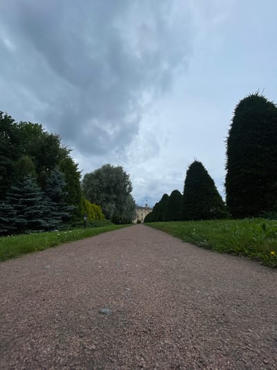 An outdoor, low-angle, eye-level shot captures a gravel path leading towards a distant light-colored building with a red-roofed dome structure in Strelna, Russia, on a cloudy day. The path is lined with manicured green grass and a variety of trees, including several tall, cone-shaped evergreen trees on the right and a dense line of trees and bushes on the left, including blue-green fir trees and a large, silvery-leafed tree. Two lampposts are visible along the path. The sky is overcast with heavy gray clouds.