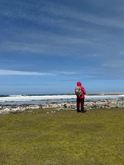A person stands on a grassy verge looking out at a strip of beach and the sea, under a blue and partly cloudy sky. They are wearing a red coat, dark trousers, and a backpack. The beach is stony with some white flowers, and the sea is slightly choppy with white crests on the waves. The grass is green and covers a large area of the lower half of the image.