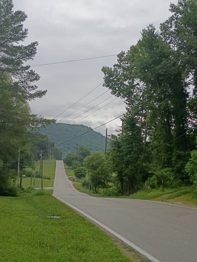The image depicts a rural scene with a paved road curving upwards towards a wooded hill under a cloudy sky. The road is bordered by green grass and trees on both sides. Several utility poles with power lines stretch across the landscape. In the distance, a large, tree-covered hill dominates the horizon. The environment appears to be a natural landscape with no immediate signs of urban development, suggesting a location outside of a city center.