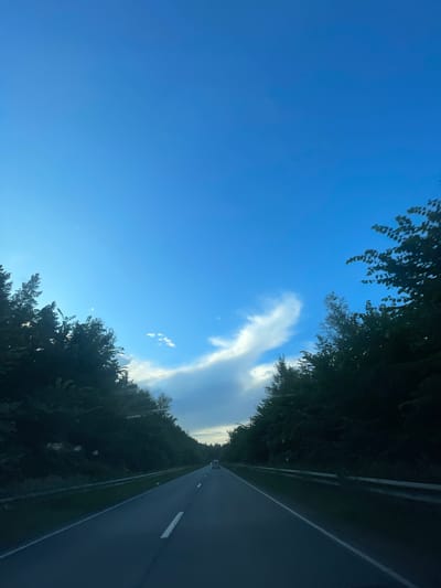 The image shows a road going through a forest with a bright blue sky. The road has white lines marking the lanes. There are trees on both sides of the road, and they are very dense. There is a white van in the distance driving on the road. The sky is clear and blue with some white clouds. The image was taken from a moving vehicle. The location is the city of Niva, Russia.