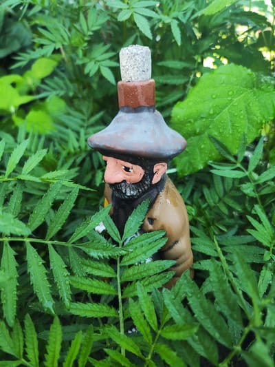 A gnome figurine, made of clay and painted with brown and tan colors, is partially hidden amongst vibrant green foliage. The gnome has a distinctive pointed hat, a prominent nose, and a beard. A light-colored stopper is inserted into the top of its hat. The leaves surrounding the figurine are wet, suggesting recent rain or dew. The background is filled with lush green plants, creating a natural and slightly overgrown environment. The scene appears to be in an outdoor setting. The image does not contain any information to place it in the city of Moscow, Russia.