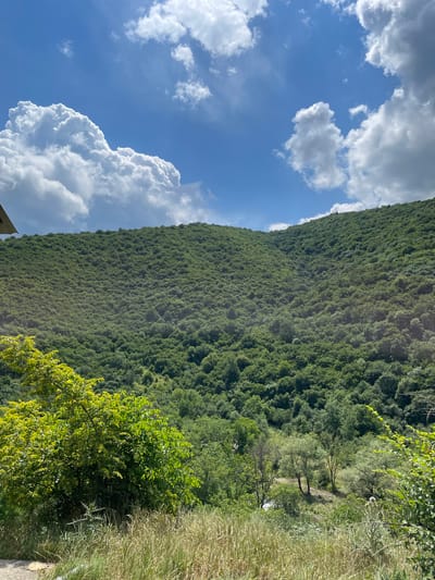 A sunny day in Angrevani, Georgia, is captured in this image. A lush, tree-covered mountain dominates the mid-ground and background, with its slopes stretching up towards a bright blue sky dotted with fluffy white clouds. The foreground is filled with dry, golden grass and the lower branches of a vibrant green tree. The scene evokes a sense of natural beauty and tranquility.