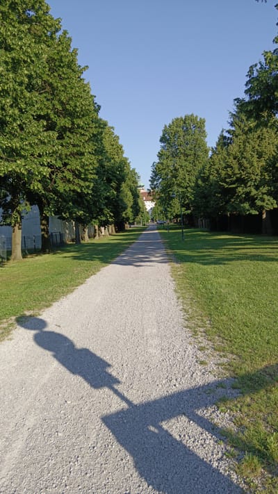 The image depicts a sunlit pathway in a park-like setting, possibly a promenade or garden, in Sankt Pölten, Austria. The pathway is made of light-colored gravel and stretches into the distance, flanked by manicured green lawns on both sides. Tall, mature trees with lush green foliage line the pathway, casting dappled shadows on the grass and ground. In the background, a building with white walls and a distinctive green dome or cupola is visible, suggesting it is part of a historical or institutional complex. Streetlights are sparsely placed along the right side of the pathway. In the foreground, a distinct shadow of a person holding what appears to be a banner or sign is cast across the gravel. The sky is a clear, bright blue, indicating fair weather and daytime.