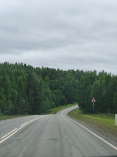 The image depicts a winding asphalt road through a dense, green forest under a cloudy sky. The road has double white lines marking its center. On the right side of the road, a triangular road sign with a black arrow indicating a sharp turn to the left is visible. White road posts are sparsely placed along the roadside. The environment suggests a rural or natural setting outside of a city. No people or vehicles are present.
