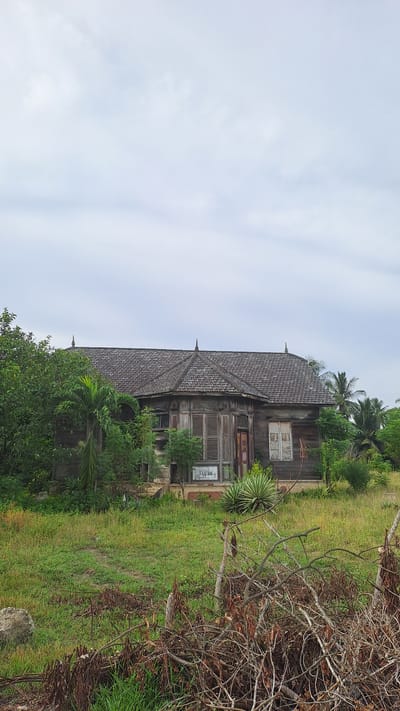 The image shows an old, weathered wooden house with a tiled roof. The house appears to be abandoned, with peeling paint on the windows and shutters. The structure has several windows and a prominent, steep-pitched roof with decorative finials. In front of the house, there is lush green grass and various types of vegetation, including palm trees and a spiky plant. To the right of the house, a pile of dried branches and twigs is visible, suggesting a somewhat unkempt environment. The sky is overcast, indicating a cloudy day. A sign with visible text, "PELUTAN", is attached to the front of the house near one of the windows. The scene is likely set in a rural area given the natural surroundings and the rustic appearance of the house. The overall mood is one of decay and perhaps a hint of history, with no people present to suggest an ongoing activity or event. The location context is Meunasahlhok, Indonesia.