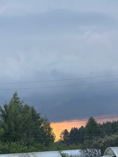 The image depicts a landscape with a cloudy sky and a forest in the background. Three power lines are visible running horizontally across the frame. In the lower part of the image, there is dense foliage from trees and bushes, with some metallic structures in the foreground. The sky is predominantly a muted gray, with a band of warm orange and pink hues near the horizon, suggesting either a sunset or sunrise. The overall impression is one of a rural or semi-rural environment, possibly on the outskirts of a city like Petukhi, Russia, given the presence of power lines and natural vegetation. There are no people or animals visible in the image. The lighting is dim, contributing to the subdued color palette of the sky.