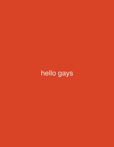 The image displays a minimalist composition featuring a solid, vibrant reddish-orange background. Centered horizontally and vertically on this plain backdrop, in a simple white sans-serif typeface, are the words "hello gays." There are no people, objects, or discernible scene elements depicted within the image beyond the colored background and text. The lack of environmental cues such as lighting, shadows, or specific features means the image does not convey any particular time of day, weather conditions, or a specific location like Zetiovo, Bulgaria. No activity or event is taking place; the image solely presents a textual greeting against a monochrome background. The overall impression is direct and communicative through the visible text.