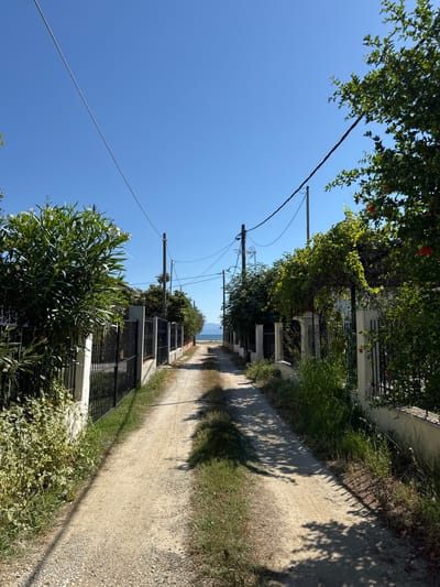 This is a landscape image, taken outdoors on a clear, sunny day. The image appears to be oriented vertically, with the sky taking up a large portion of the left side. A dirt path runs diagonally through the frame from the bottom right to the top, bordered by a black metal fence and lush green vegetation. Trees with dense foliage overhang the path, casting dappled shadows on the ground.
In the distance, where the path seems to lead, a glimpse of the sea is visible under a bright blue sky. Telephone poles and wires are also present, stretching across the sky and adding to the sense of an outdoor setting. The overall impression is one of a peaceful, somewhat rustic environment, possibly a quiet road or lane leading towards a coastal area. The sunlight suggests it is midday, and the clear sky indicates good weather. There is no visible text in the image.