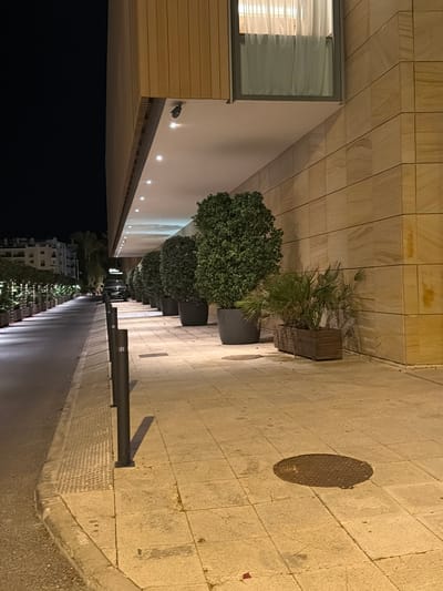 The image depicts a street scene at night in Eivissa, Spain. A row of large, dark planters containing manicured green bushes and a smaller palm plant is positioned along a tiled pedestrian walkway. The walkway runs alongside a building with a textured, light-colored stone facade and a modern wooden soffit that is illuminated by a line of recessed ceiling lights. A black SUV is parked on the adjacent asphalt road. Further down the road, buildings with illuminated windows are visible, suggesting a residential or commercial area. The scene is lit by artificial lighting from the building and streetlights, casting shadows on the walkway and road.