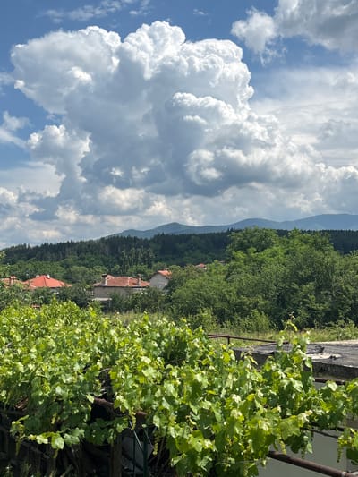 This forensic image captures a daytime landscape scene in Dolnoslav, Bulgaria, under a dynamic sky featuring large, white cumulus clouds, interspersed blue patches, and some darker gray cloud formations. In the distant background, a series of blue-hued mountain ranges covered in dense, dark green forests extend horizontally. The midground presents a verdant expanse of trees, within which a cluster of traditional houses with prominent red-tiled roofs, stone walls, and chimneys are visible; one house features a white architectural element, possibly a balcony. The immediate foreground is densely covered by vibrant green grapevines bearing numerous clusters of small, unripe green grapes, trained over a visible trellis system composed of rusted metal railings and support structures. A concrete ledge or wall with dark debris is visible on the far right of the foreground. No human or animal subjects are present.