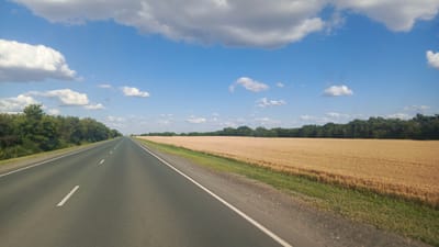 A wide-angle shot captures a vast expanse of golden wheat fields bordering a paved road on a sunny day in Zolotaya Step, Russia. The road stretches into the distance, lined by a dense strip of green trees on the left and the sun-drenched wheat field on the right. The sky above is a vibrant blue, dotted with fluffy white clouds, suggesting fair weather. The scene evokes a sense of peaceful travel through the countryside, possibly during late summer when the wheat is ready for harvest. The lighting indicates it's likely midday. No people or vehicles are prominently visible, emphasizing the natural landscape. The image is devoid of any visible text.
